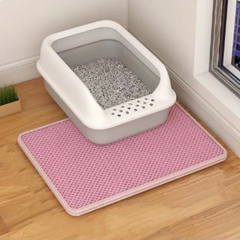 Double-Layer Cat Litter Mat
